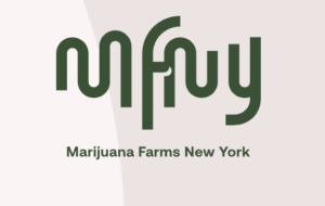 MFNY Brand Logo